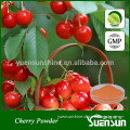 Cherry Fruit Juice Extract Powder